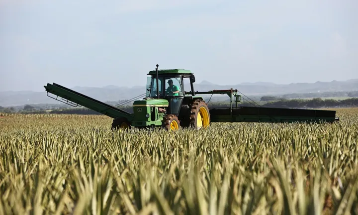 Tractor pulling a harvest conveyor through a field
