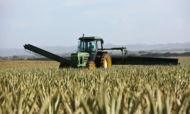 Tractor pulling a harvest conveyor through a field