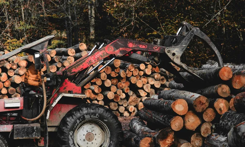 Grapple loader stacking cut logs at a forest landing
