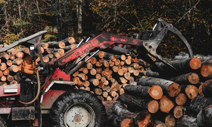 Grapple loader stacking cut logs at a forest landing